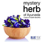 Blue Tea Butterfly Pea Ginger Herbal Tea Bags