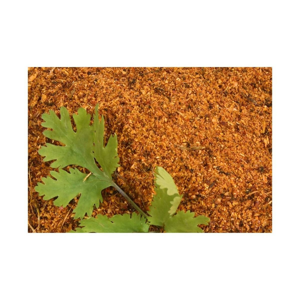 Amoga's Pickles Factory Coriander Leaves Curry Powder Andhra Style - Swadesiicart