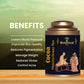 Botanical Sage Cocoa Matcha Green Tea | Swadesiicart