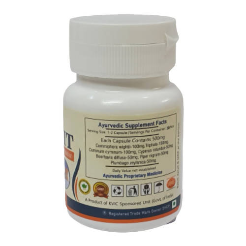 Deep Ayurveda Obesit 500mg Veg Capsules - Swadesiicart