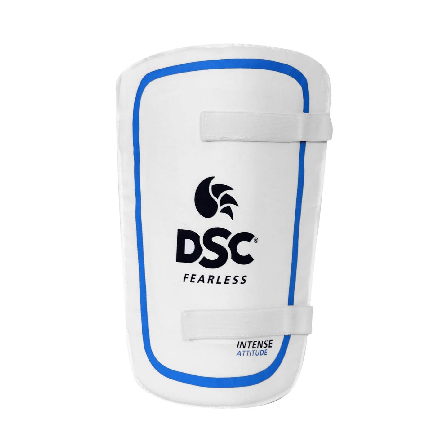 DSC Economy Kashmir Willow Cricket Kit (Size 5) - Swadesiicart
