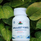 Shilajeet Forte – General Health Supplements