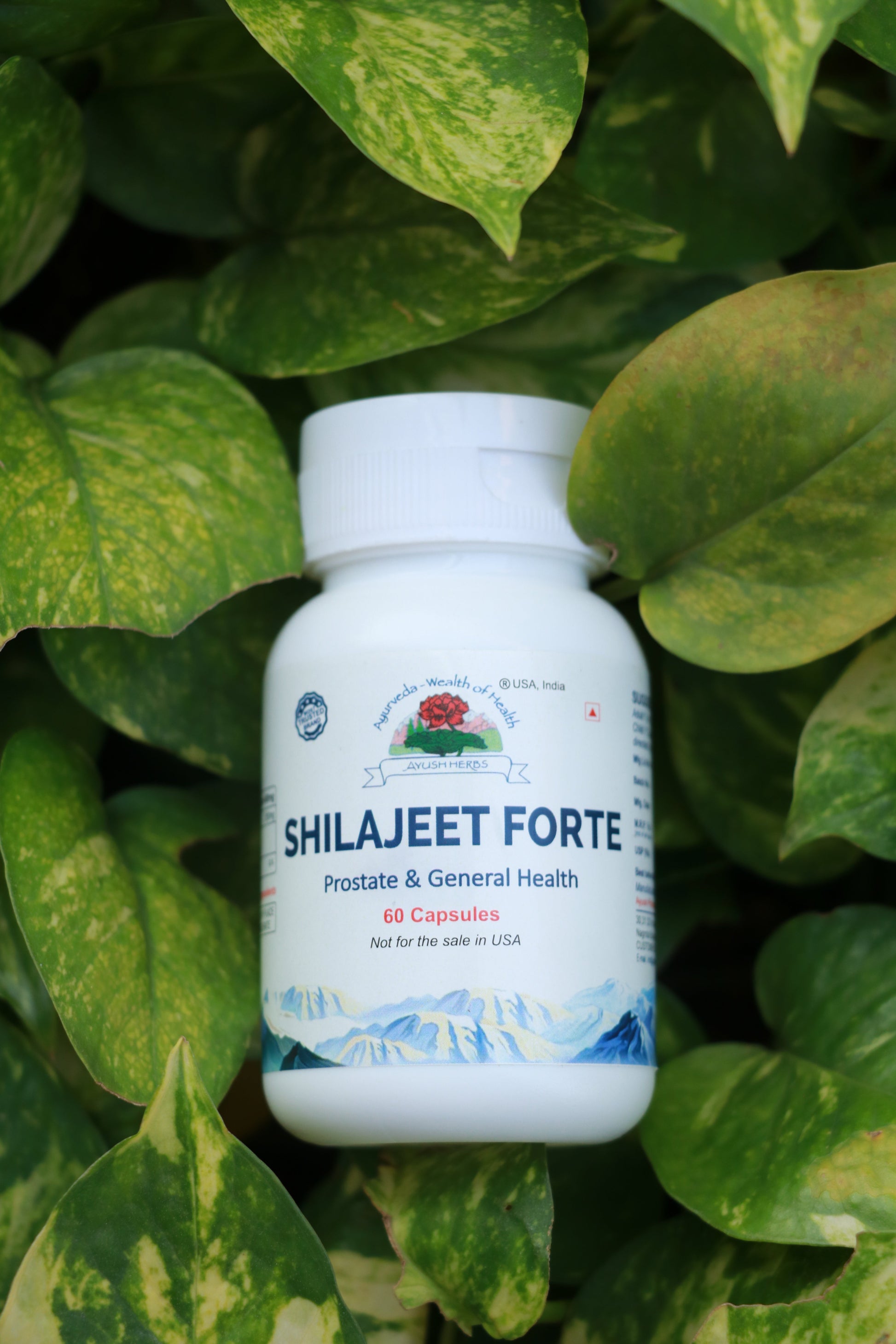 Shilajeet Forte – General Health Supplements