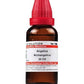 Dr. Willmar Schwabe India Angelica Archangelica Dilution | Swadesiicart
