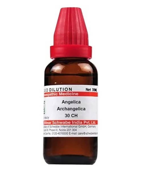 Dr. Willmar Schwabe India Angelica Archangelica Dilution | Swadesiicart