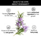 ThriveCo Rosemary Essential Oil - Swadesiicart