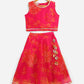 Ahalyaa Pink Organza Digital Print Kids Lehenga Choli For Girls | Swadesiicart