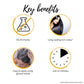 Easy Hair Color 25 ml (Black Colour)