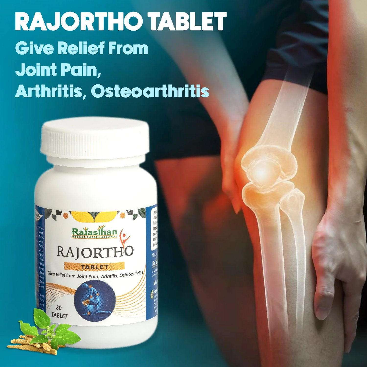 Rajasthan Herbals Rajortho Tablets | Swadesiicart
