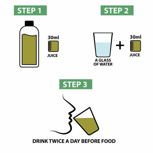 Vitro Naturals Healthy Amla Juice | Swadesiicart