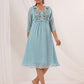 Janasya Light Dobby Chiffon Embroidered A-Line Dress | Swadesiicart