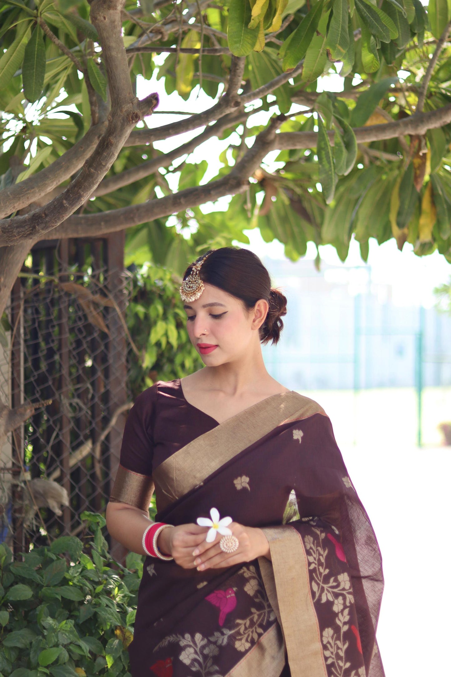 Jyoti Fashion Women's Coffee Linen Silk Zari Woven Traditional Saree with Blouse | Swadesiicart