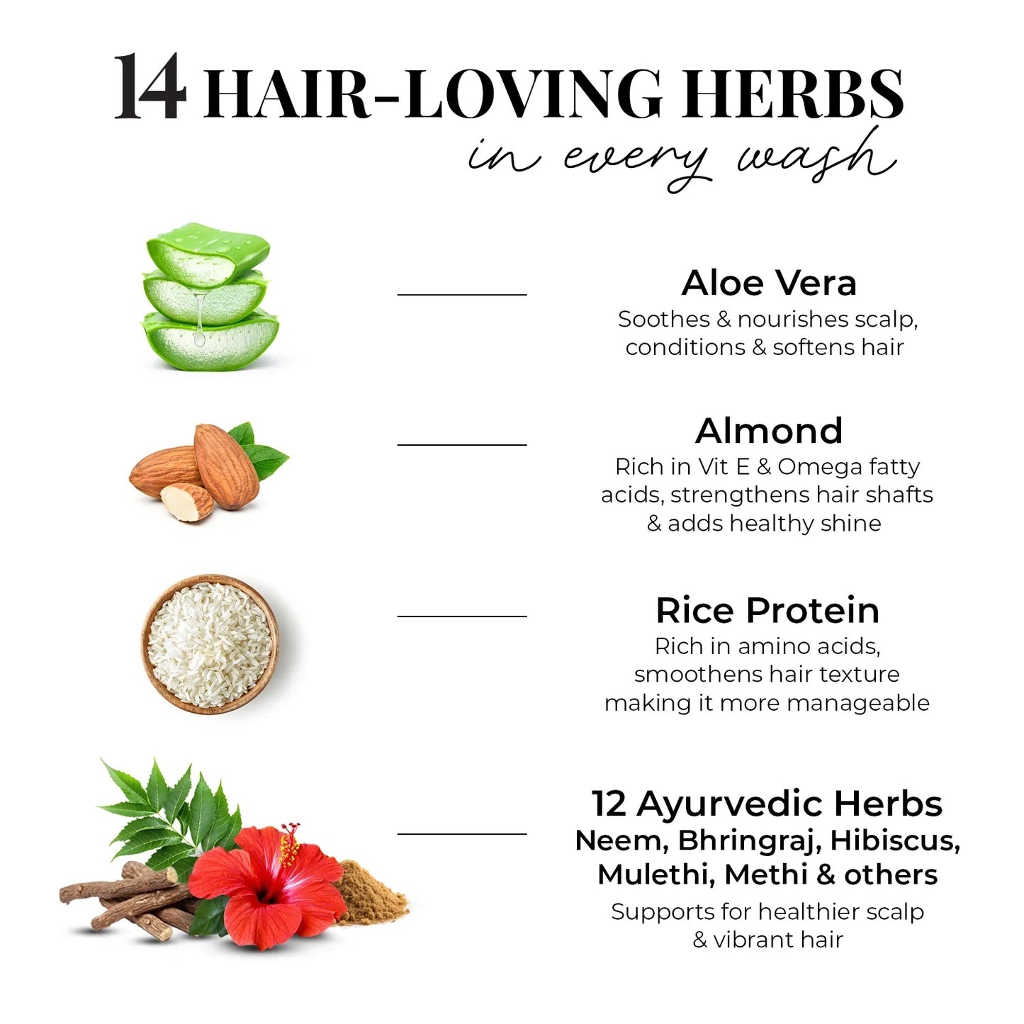 Smooth & Shine Shampoo for Dry and Frizzy Hair| Aloe Vera, Almond, Rice Protein & 12 Herbs (Copy)