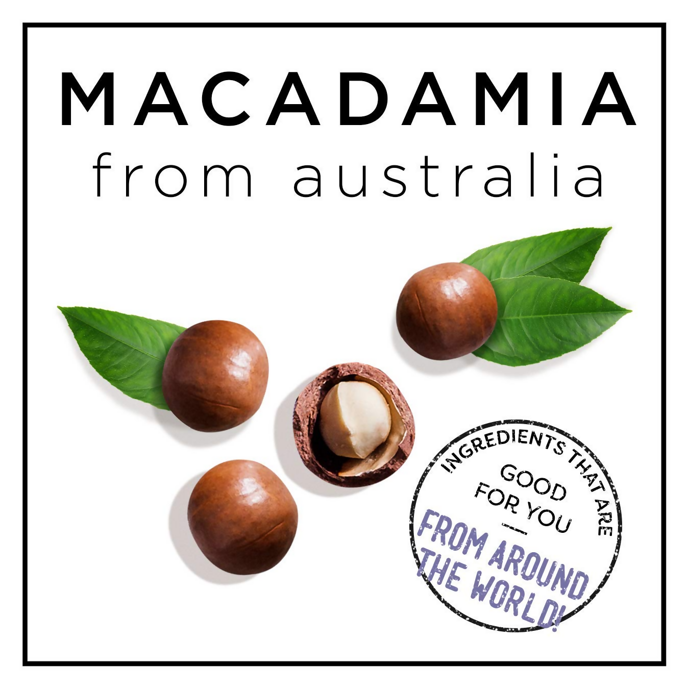 HASK Macadamia Oil Moisturizing Shampoo & Conditioner | Swadesiicart