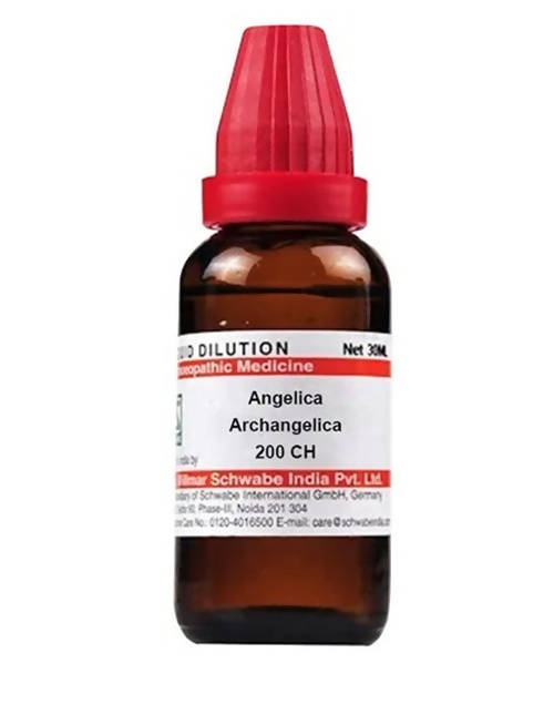 Dr. Willmar Schwabe India Angelica Archangelica Dilution | Swadesiicart