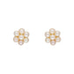 J Pearls Eeshta 1 Line Pearl Choker - Real Pearl Jewelry | Swadesiicart