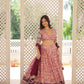 Lorenvalley Pink Pure Viscose Jacquard with 2D Dyeing and Embroidered Sequins work Lehenga Choli | Swadesiicart