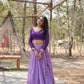 Lorenvalley Lavender Pure Viscose Jacquard with Kalamkari Jari Border Lehenga Choli | Swadesiicart