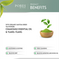 Pores Be Pure Matcha Green Tea Purifying Face Wash | Swadesiicart