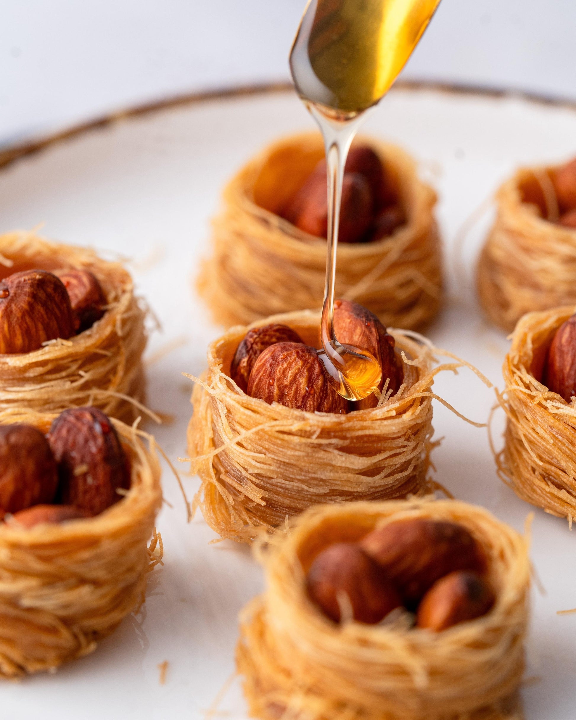 Gourmet Baklava Treasure Connoisseur Gift Box | Swadesiicart