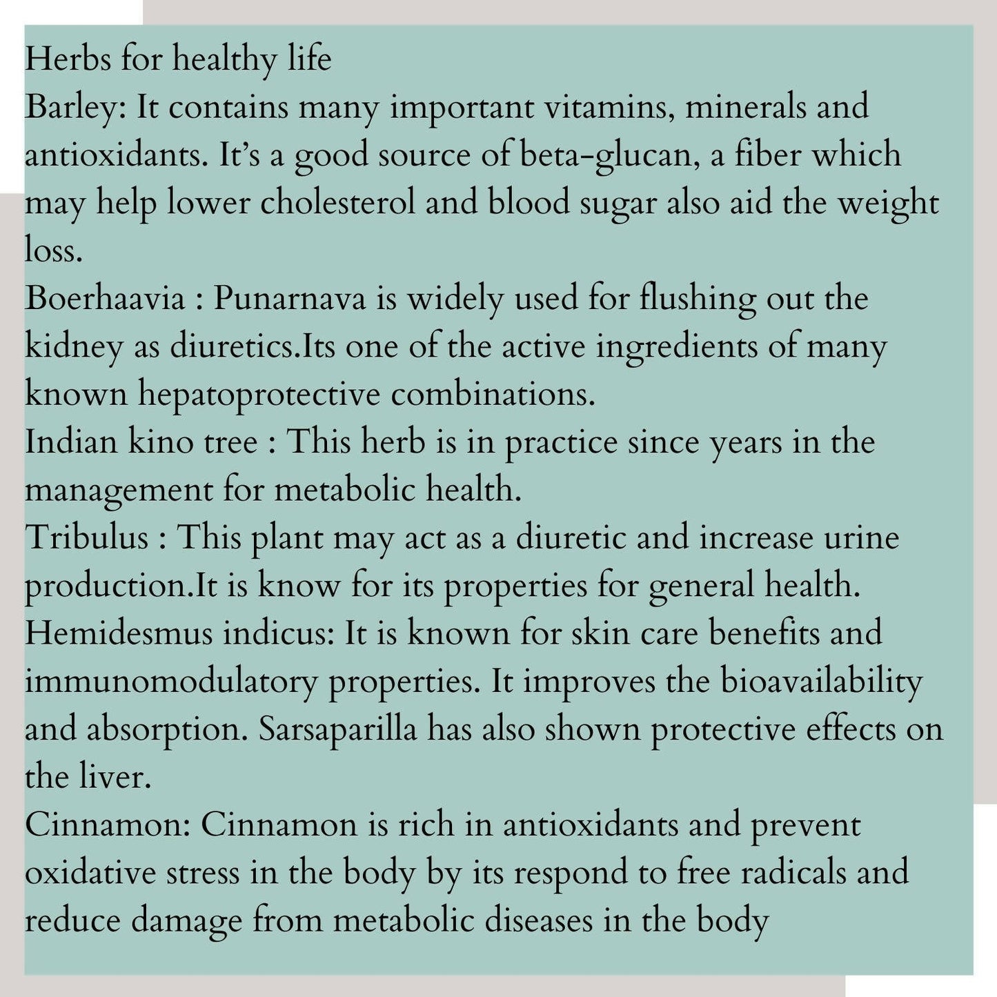 Satvi Wellness Detoxi - Herbal Detox Mix | Swadesiicart