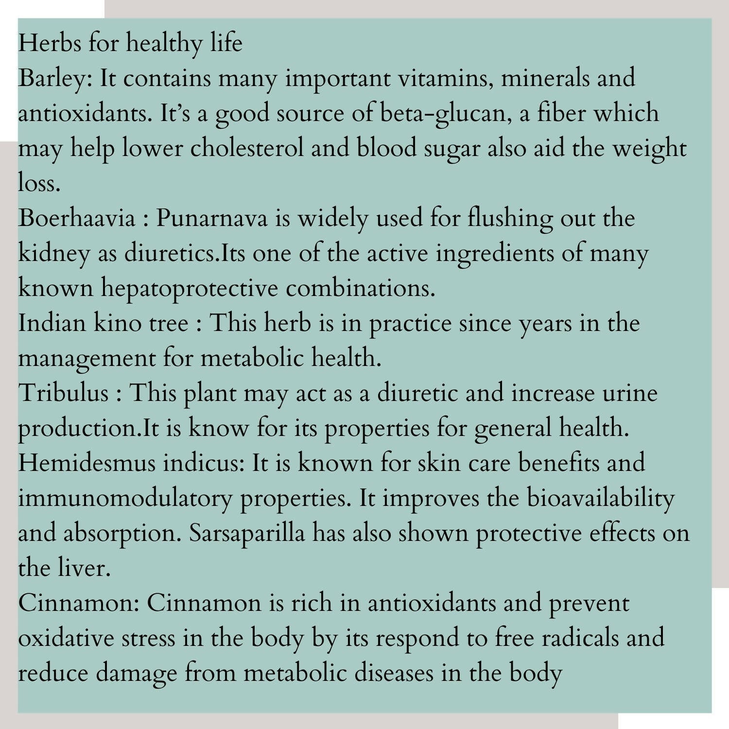 Satvi Wellness Detoxi - Herbal Detox Mix | Swadesiicart