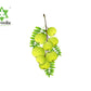 AMLA (1)