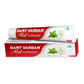 Benmoon Ayurveda Dant Vardan Mint Toothpaste - Benmoon Pharma