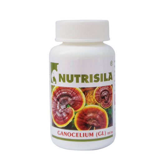 Extasy Nutrisila Gano Celium (GL) Capsules - EXTASY HEALTH CARE PVT LTD