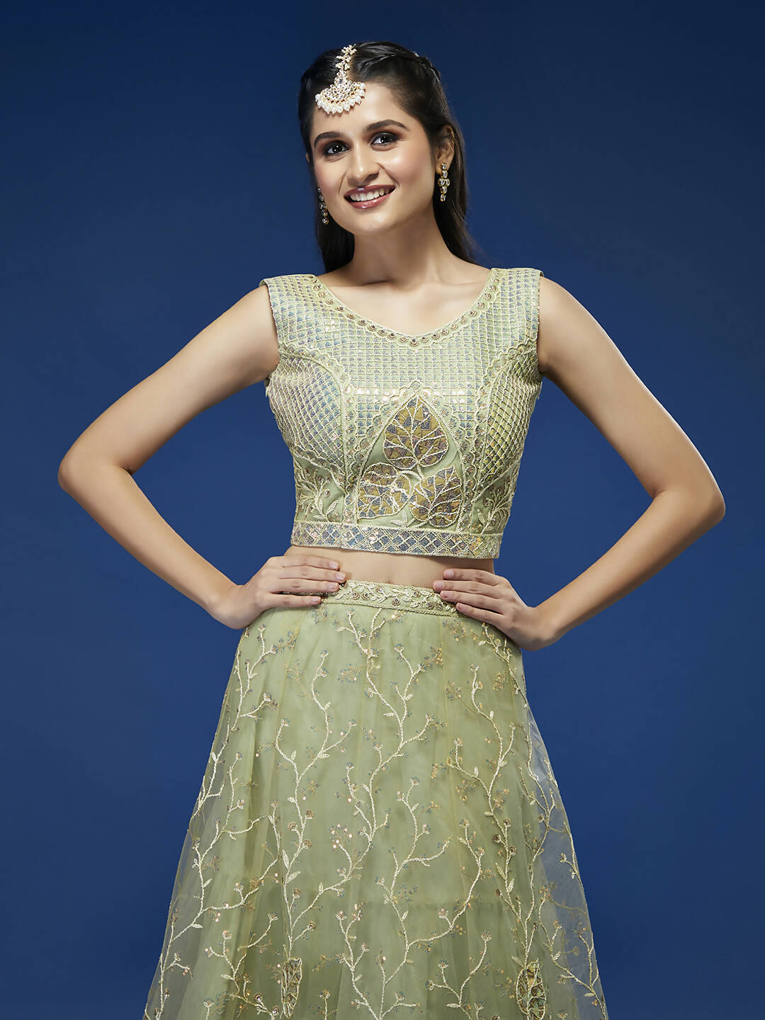 House of Panchhi Pista Net Sequinse Work Lehenga & Blouse, Dupatta | Swadesiicart