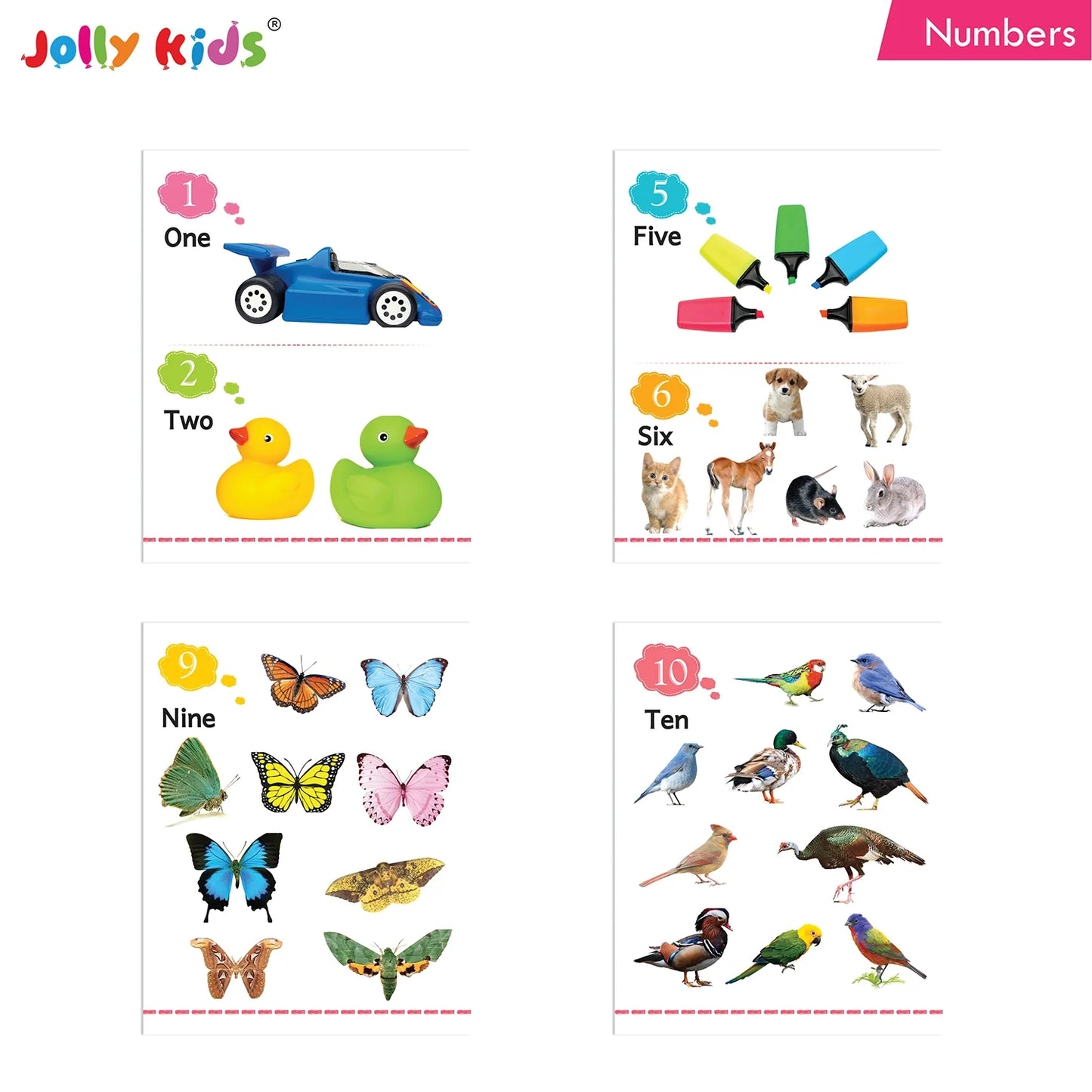 Jolly Kids My Big Board Books Set of 8 for Toddlers Ages 0-3 Years| Picture Learning Books - Swadesiicart