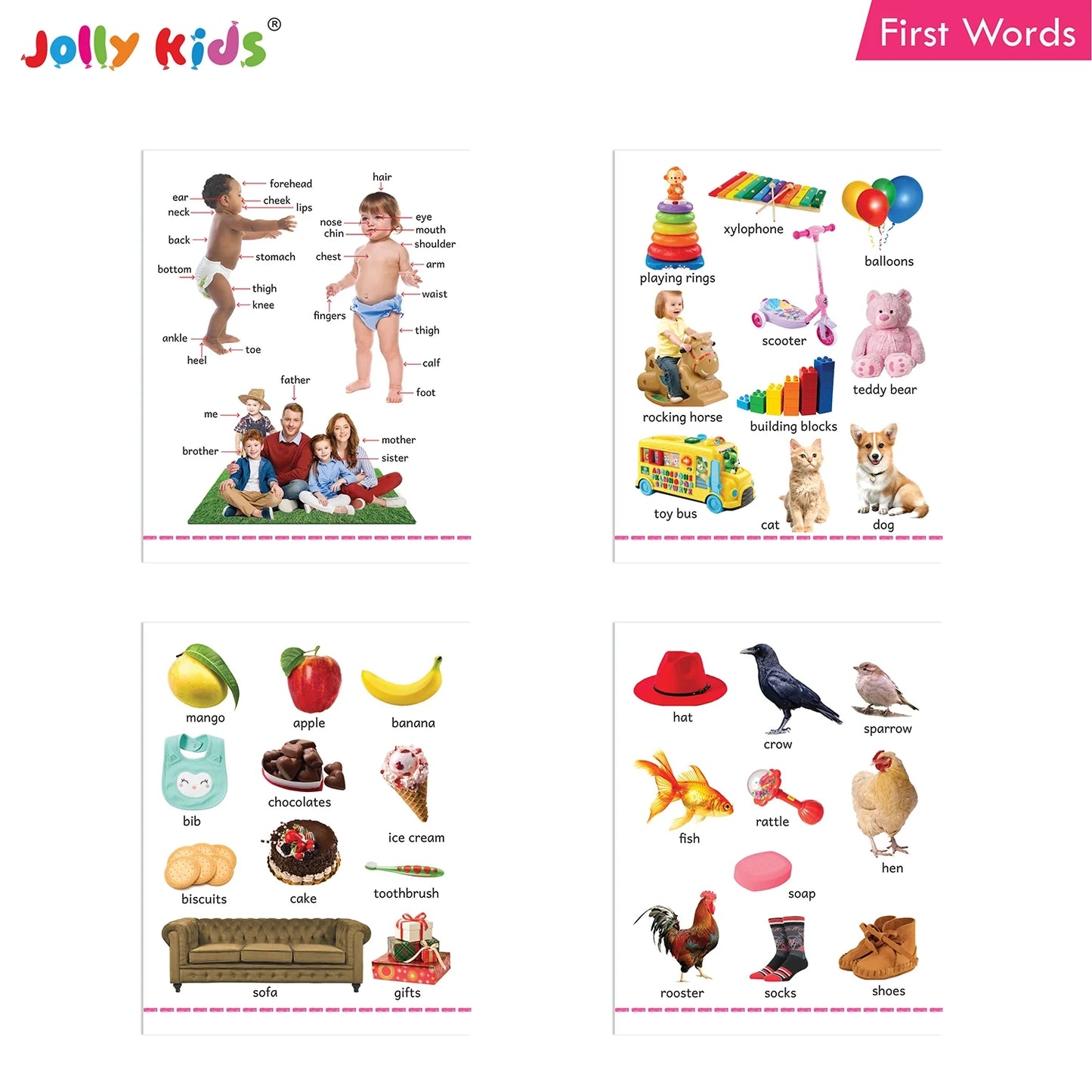 Jolly Kids My Big Board Books Set of 8 for Toddlers Ages 0-3 Years| Picture Learning Books - Swadesiicart