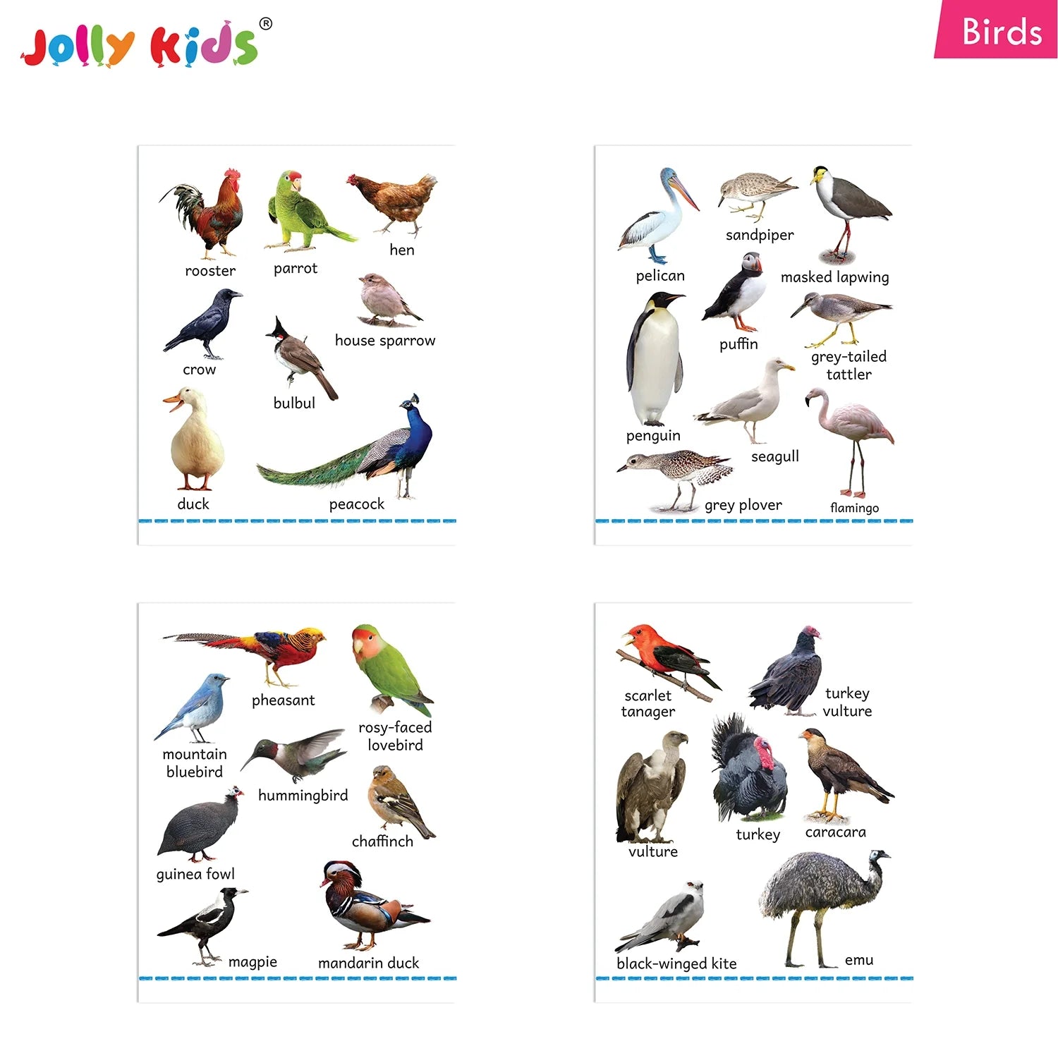 Jolly Kids My Big Board Books Set of 8 for Toddlers Ages 0-3 Years| Picture Learning Books - Swadesiicart