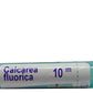 Boiron Homeopathy Calcarea Fluorica | Swadesiicart