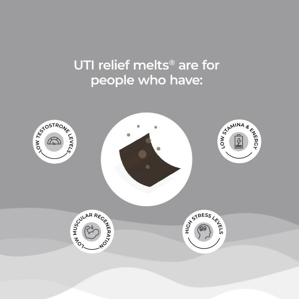 Wellbeing Nutrition Melts Testo Power Oral Strips-Cool Mint Flavor | Swadesiicart