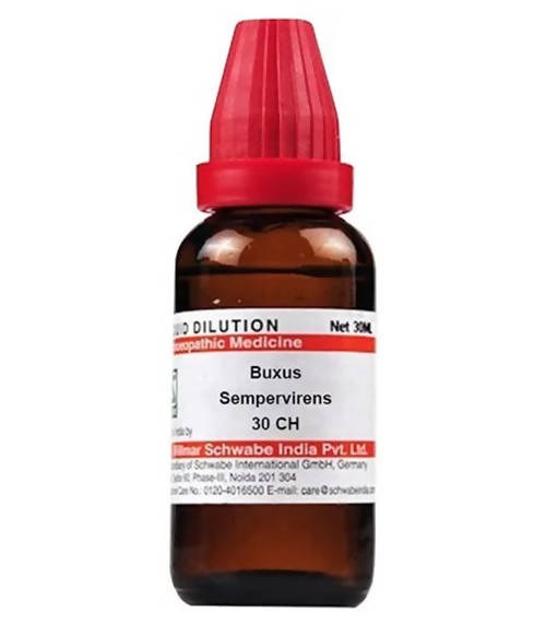 Dr. Willmar Schwabe India Buxus Sempervirens Dilution | Swadesiicart