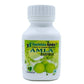 Navchetana Kendra Amla Extract Capsules - Navachetana Kendra