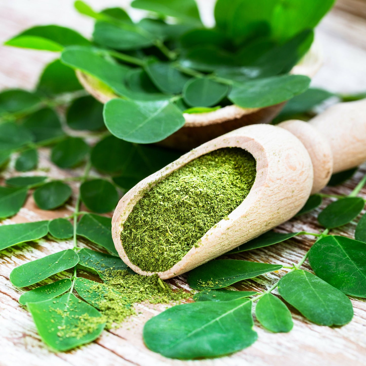 Moringa Powder 02