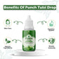 Divya Shree Punch Tulsi Drops | Swadesiicart