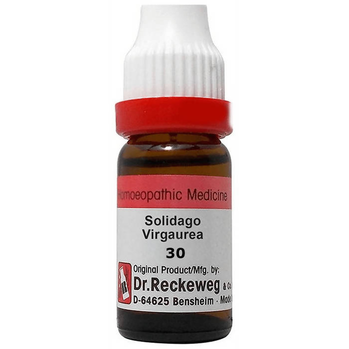 Dr. Reckeweg Solidago Virgaurea Dilution - Swadesiicart