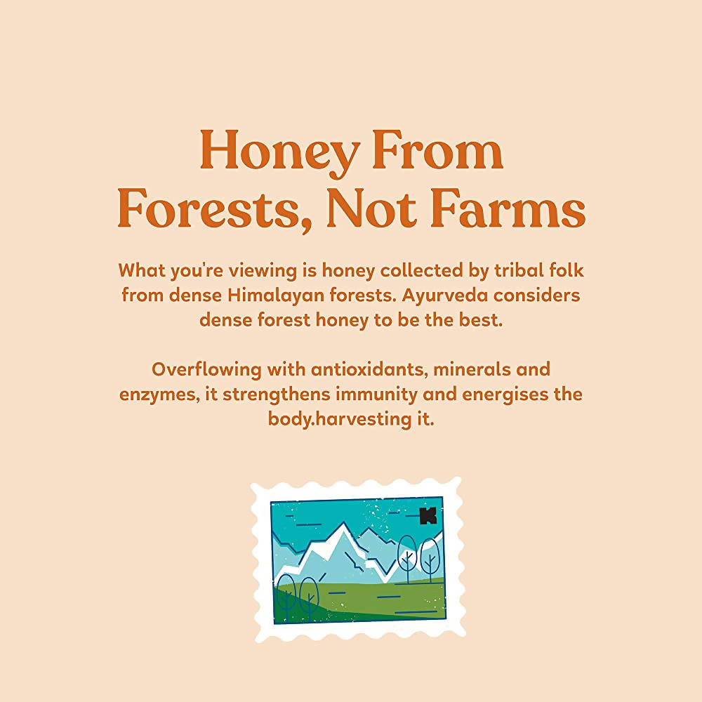 Kapiva Ayurveda Ginger Burst Honey