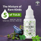 Vanalaya Panch Tulsi Drops | Swadesiicart