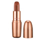 Chambor 931 Pink Nude Orosa Matt Perfection Lipstick - Swadesiicart