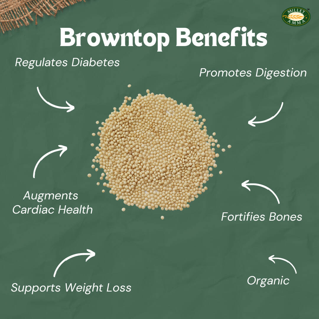 Millet Amma Organic Browntop Millet Grains - Swadesiicart
