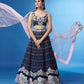 House of Panchhi Navy Blue Color Georgette Multi-Sequins Work Lehenga | Swadesiicart