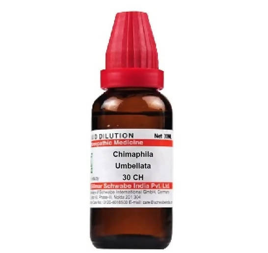 Dr. Willmar Schwabe India Chimaphila Umbellata Dilution | Swadesiicart