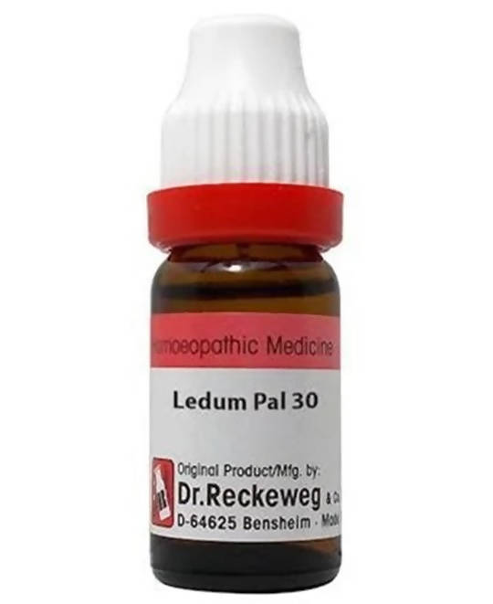 Dr. Reckeweg Ledum Pal Dilution - Swadesiicart