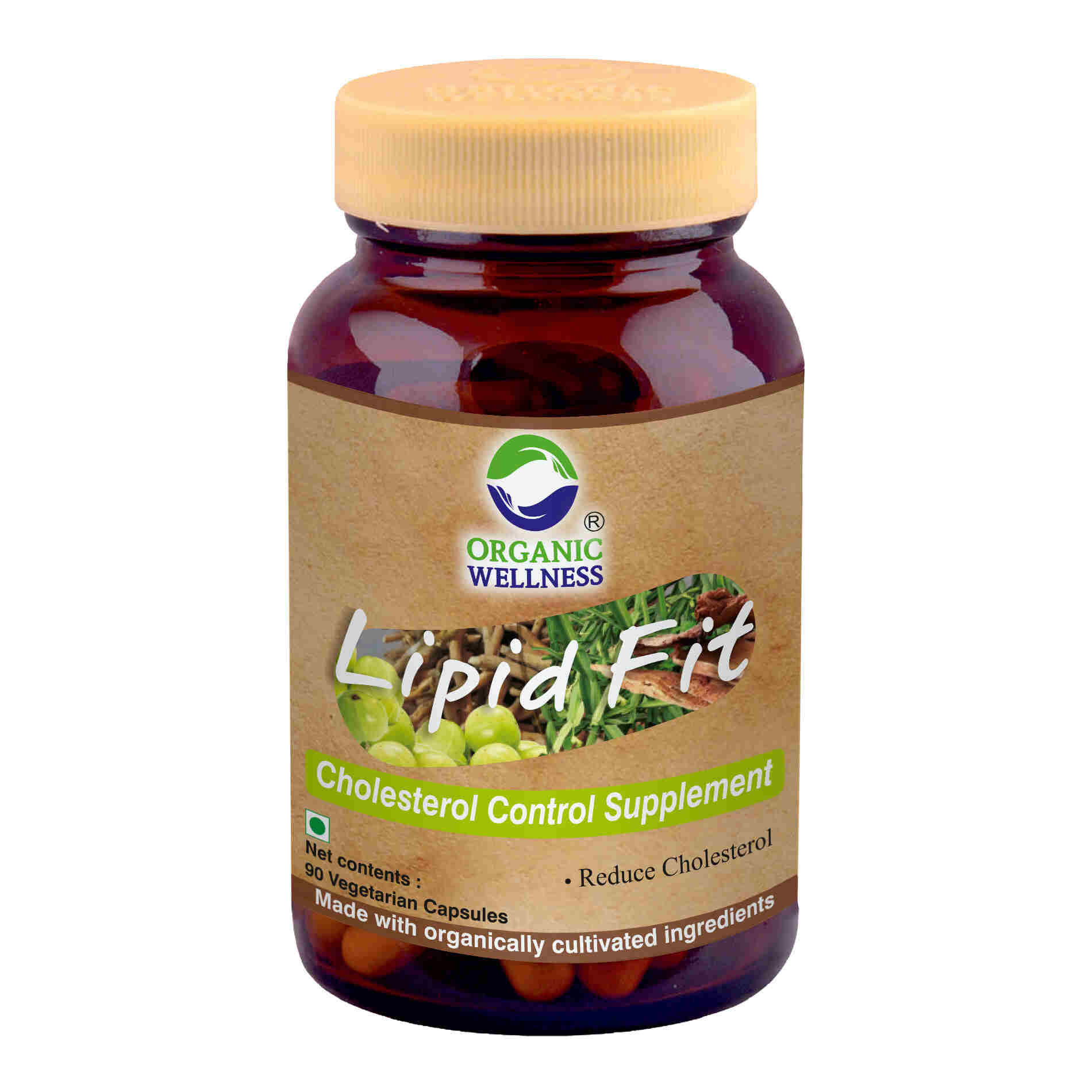 Organic Wellness Lipid-Fit - Organic Wellness Products Private Limited
