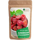 Bliss of Earth Whole Dried American Strawberries