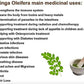 Viroga Organic Moringa Leaf Powder - Swadesiicart